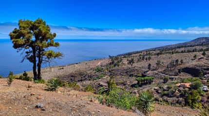Typical landscape seen from the viewpoint at Museo de Interpretación del Gofio MIGO, Puntagorda, La Palma island, Spain