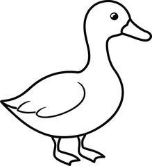 Quirky Beak Duck Adventures
