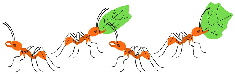 Leafcutter ants move along a trail towards the colony. Insects, animals, nature, plants and leaves, illustration