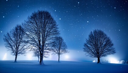 Snowy night with silhouette trees