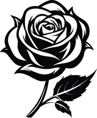 Rose flower vector isolate