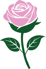 Rose flower vector isolate