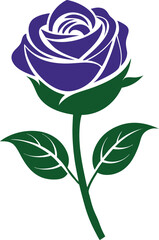 Rose flower vector isolate