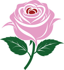 Rose flower vector isolate
