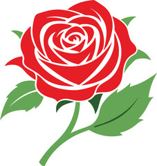 Rose flower vector isolate