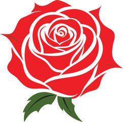 Rose flower vector isolate