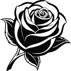 Rose flower vector isolate