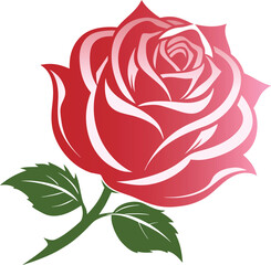 Rose flower vector isolate