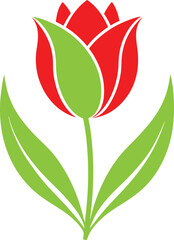 tulip flower vector isolate