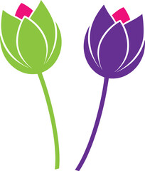 tulip flower vector isolate