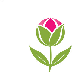 tulip flower vector isolate