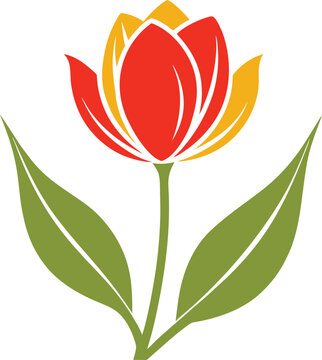 red and yellow tulip flower on white clip art preview