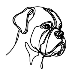 Close-up portrait of German boxer in a line drawing style