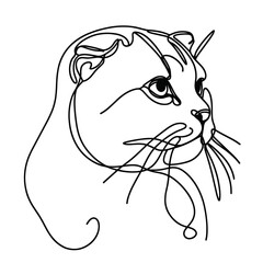 Close-up portrait of Scottish lop-eared cat in a line drawing style