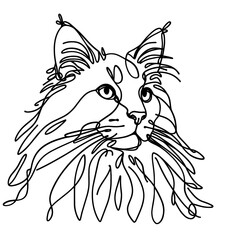 Close-up portrait of Maine Coon in a line drawing style