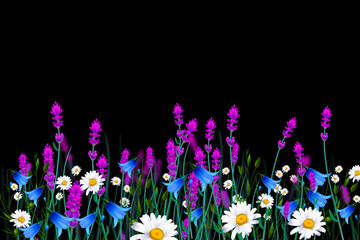 Flowers in the garden