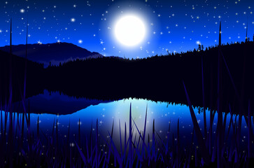 night landscape with moon stars