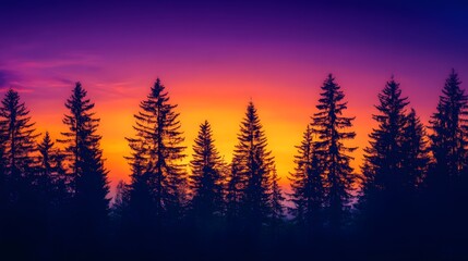 National forest at twilight with a rich, purple and orange sky, silhouettes of trees against the colorful backdrop, soft light creating long shadows and a calm, contemplative mood