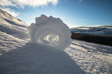 Snow Roller