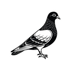 Silhouette Vector Illustration of a Pigeon