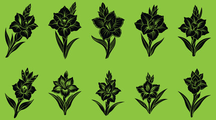 Set of Gladiolus Flower Silhouette Vector Line Art Icon - Logo Clipart Design 