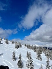 snow covered mountains