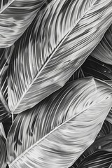 A close up of a leaf with a black and white filter