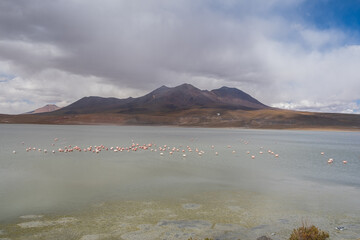 lagoon with flamingos and mountains in the background in the Bolivian Altiplano, Eduardo Avaroa...