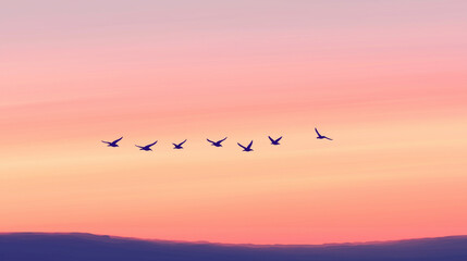 Obraz premium Birds