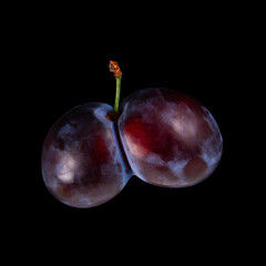 These plums have grown together as conjoined fruits showcased on isolate black background