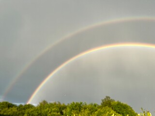 rainbow over green field