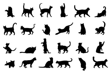 cats set silhouette isolated vector