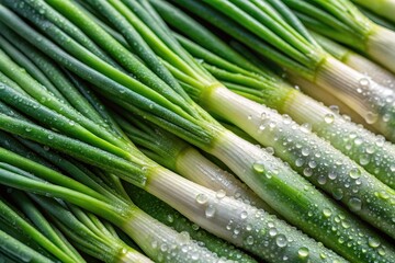 Obraz premium * Details: Scallion Tops, Earthy Texture, Dew Drops