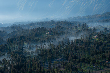 Morning vibes of Cemoro Lawang, a small village beside Mount Bromo, East Java, Indonesia.