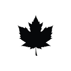 Maple leaf vector design, ideal for Canadian branding and nature-themed projects.