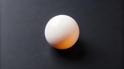 A Single White Egg on a Black Surface