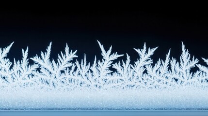 Close-up of frost patterns on window