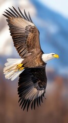 Obraz premium Majestic bald eagle in flight against mountain