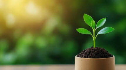 A forest sprouting from a financial chart, symbolizing the positive impact of green finance on the environment