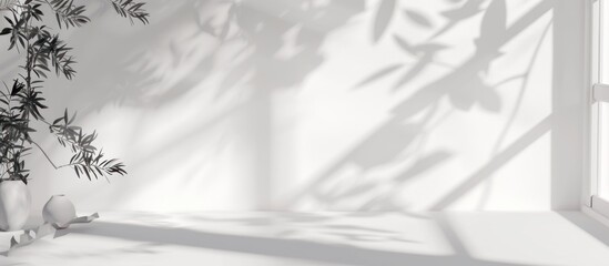 Minimalist White Room with Leaf Shadows