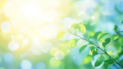 Sunlight Through Green Leaves