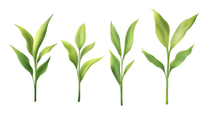 Four green leafs on a transparent background,Four Lily of the valley Leafs Isolated,Four Tropical Plant Leaves,leaf transparent png,Decoration work, green plants,Four green leafed plants, Ai