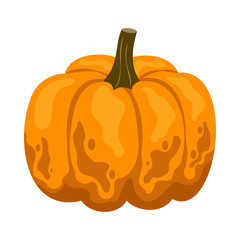 Pumpkin of various shapes and colors. Thanksgiving and Halloween Elements. Harvesting flat cartoon style Illustration
