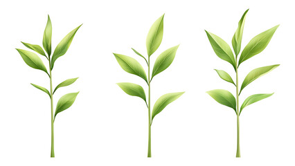 Four green leafs on a transparent background,Four Lily of the valley Leafs Isolated,Four Tropical Plant Leaves,leaf transparent png,Decoration work, green plants,Four green leafed plants, Ai
