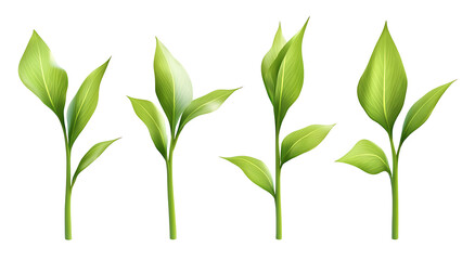 Four green leafs on a transparent background,Four Lily of the valley Leafs Isolated,Four Tropical Plant Leaves,leaf transparent png,Decoration work, green plants,Four green leafed plants, Ai
