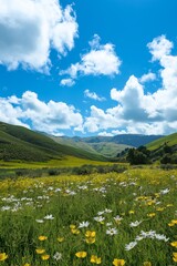 A field of yellow flowers and green grass with a blue sky in the background. The sky is partly cloudy, but the sun is shining through the clouds. The scene is peaceful and serene