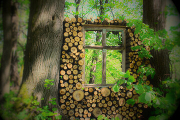 okno w lesie