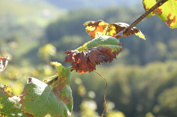 Natur, Urlaub, Reisen, H&auml;user, Meer, 