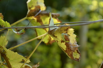 Natur, Urlaub, Reisen, H&auml;user, Meer, 