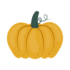 Pumpkin and leaves. Fall floral arrangement with colorful pumpkin. Hand drawn flat style. Seasonal harvest and Halloween Illustration